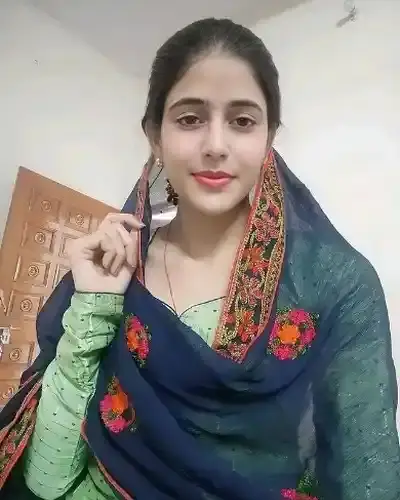 Call Girl Timarpur